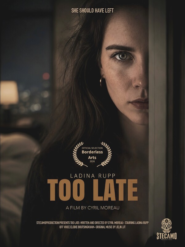 TOO LATE poster